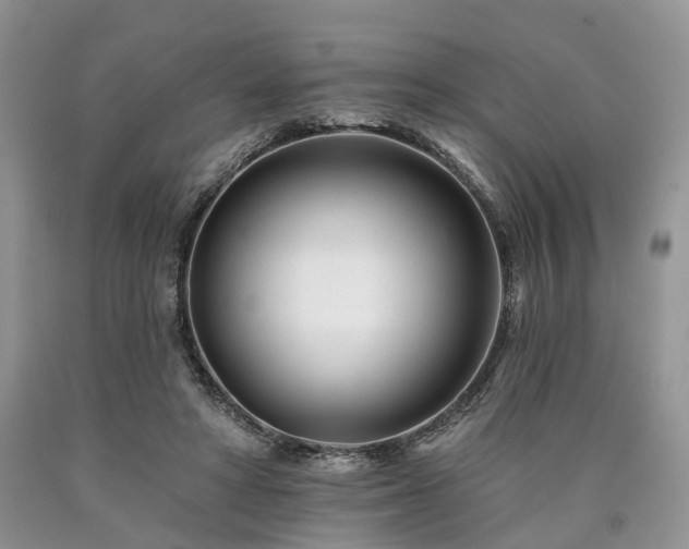 X0000090480402200707201420