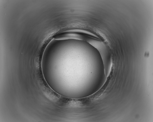 X0000090480403200707201420