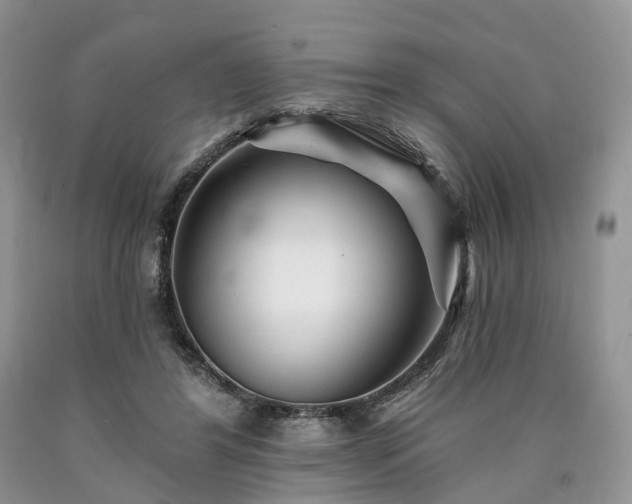 X0000090480404200707201420