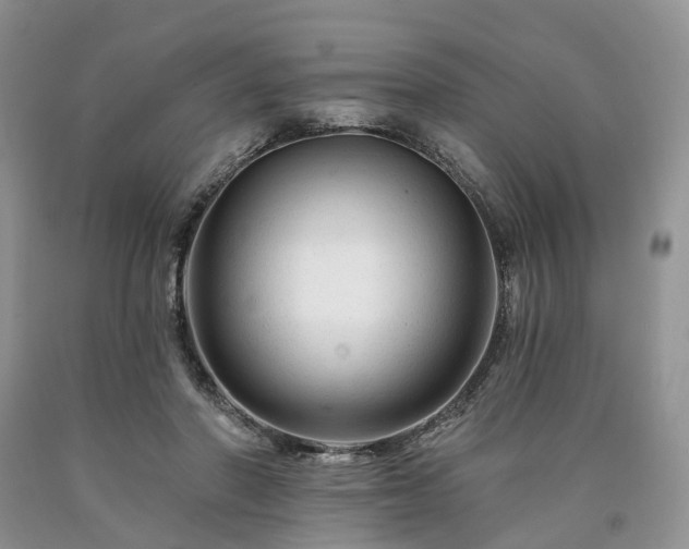 X0000090480406200707201420