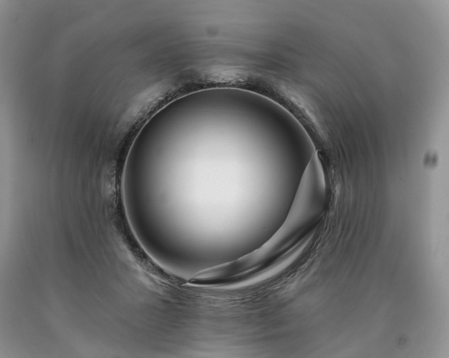 X0000090480407200707201420