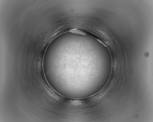 X0000090480409200707201420