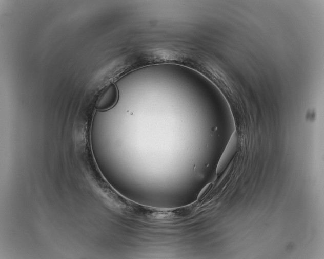 X0000090480410200707201420