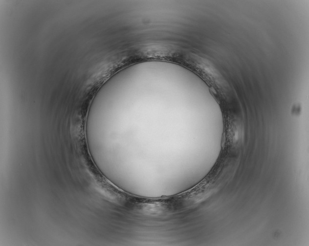 X0000090480411200707201420