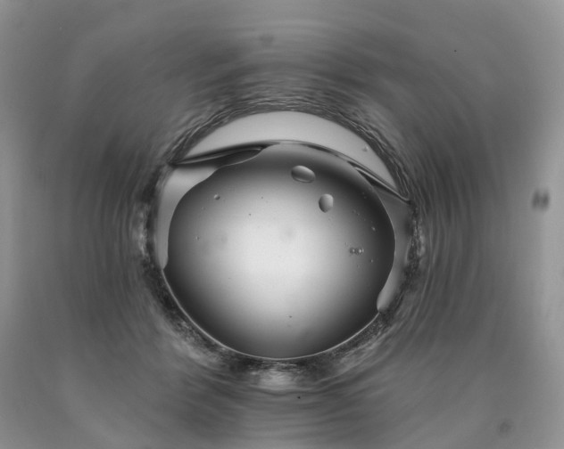 X0000090480412200707201420