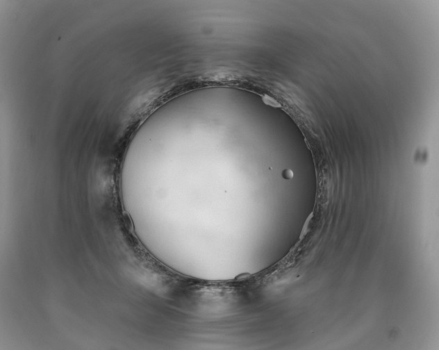 X0000090480415200707201420