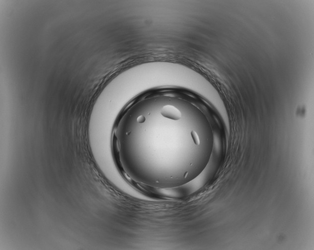 X0000090480417200707201419