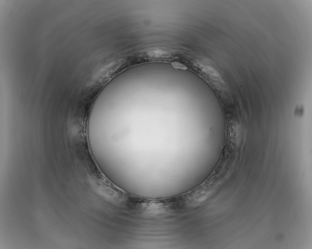 X0000090480419200707201419