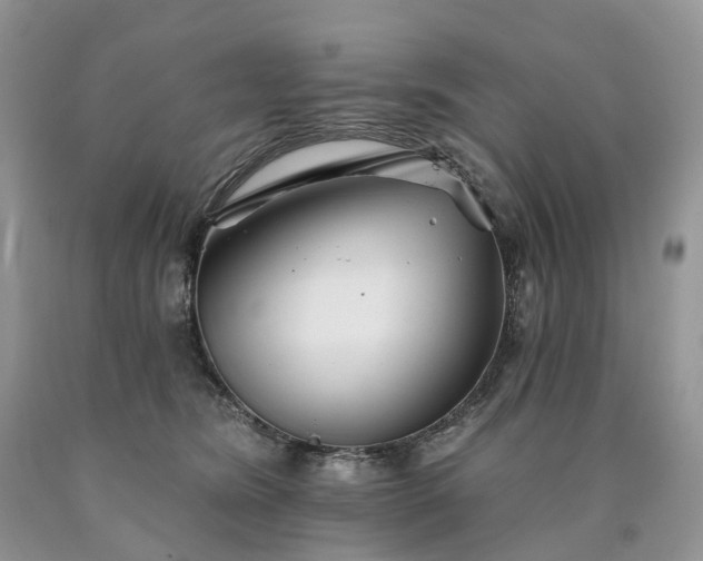 X0000090480420200707201419