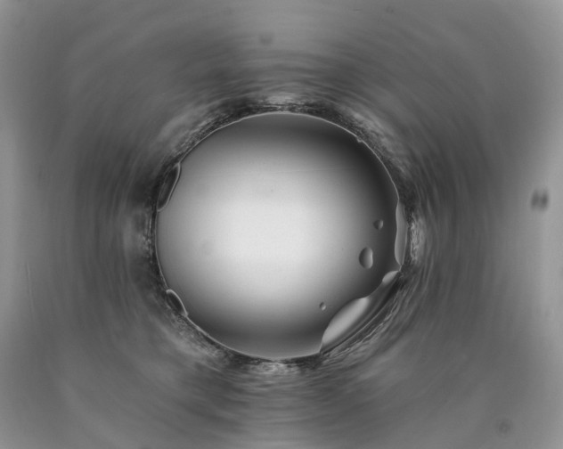 X0000090480421200707201419