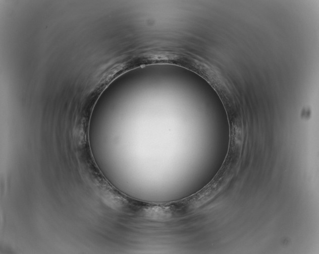 X0000090480422200707201419