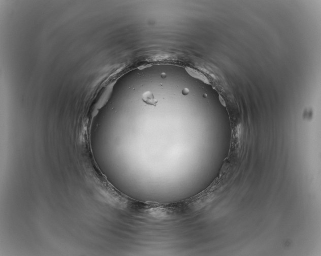 X0000090480423200707201419