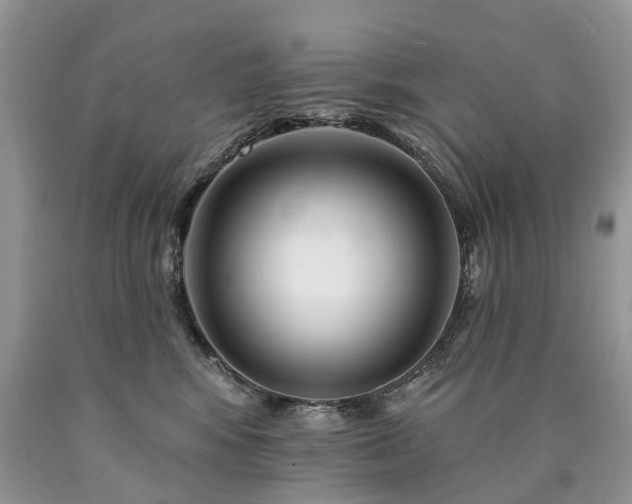 X0000090480424200707201419
