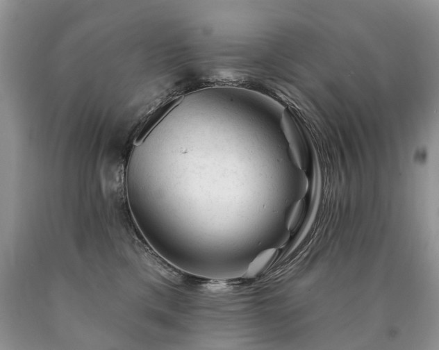 X0000090480425200707201419