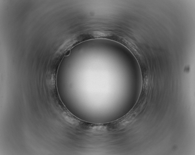 X0000090480426200707201419