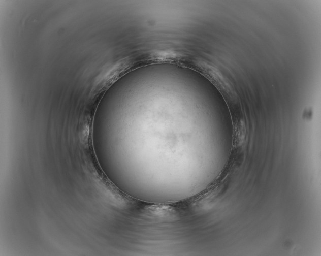 X0000090480427200707201419