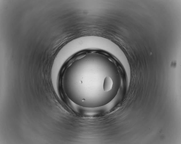 X0000090480428200707201419