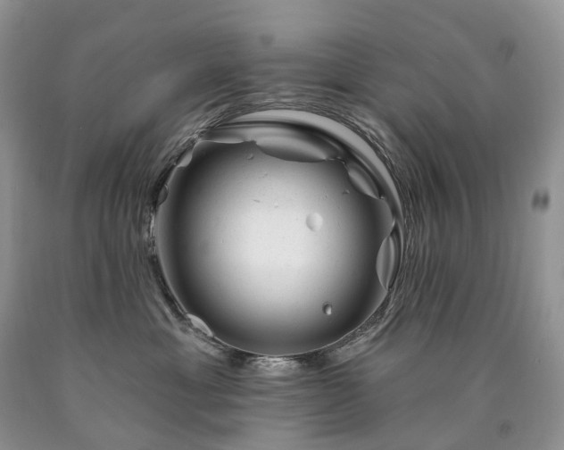 X0000090480429200707201419