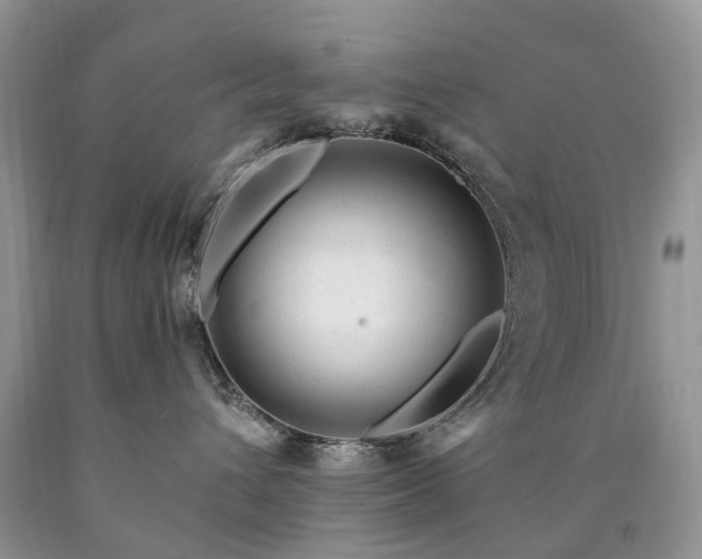 X0000090480432200707201419
