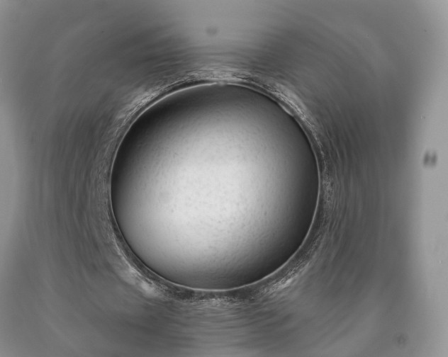 X0000090480433200707201419