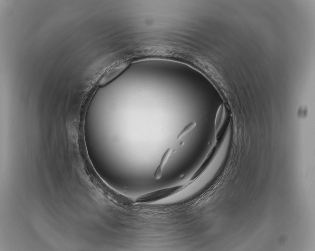 X0000090480434200707201419