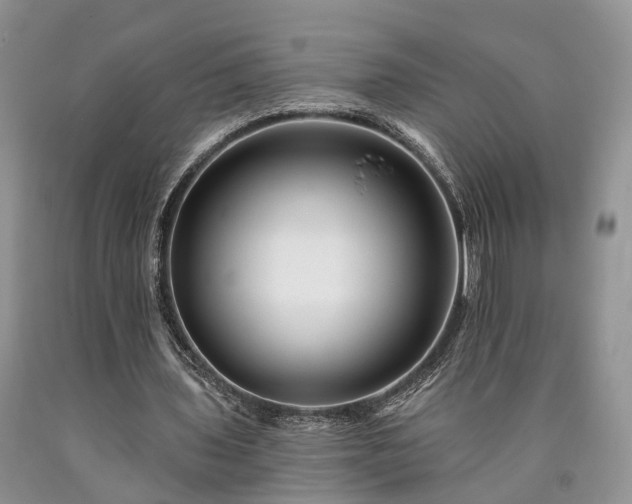 X0000090480435200707201419