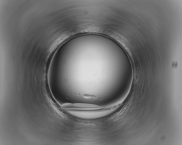 X0000090480437200707201419