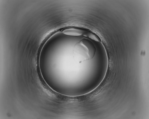 X0000090480438200707201419