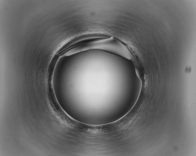 X0000090480440200707201419