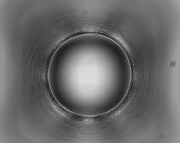 X0000090480441200707201419