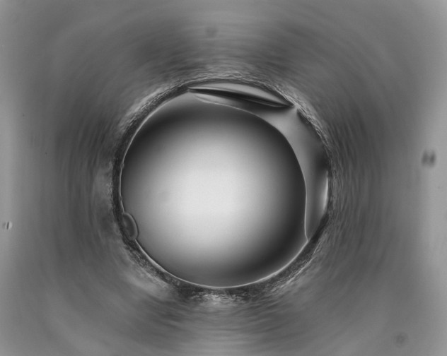X0000090480442200707201419