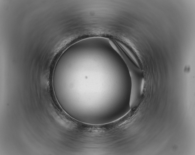 X0000090480443200707201419
