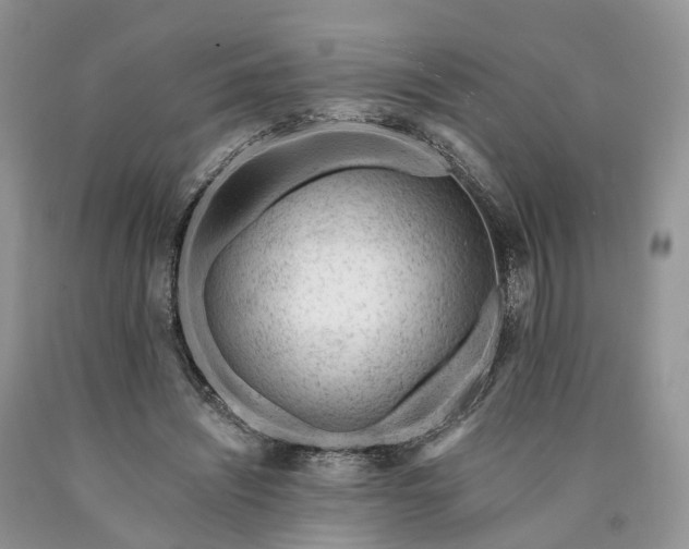 X0000090480444200707201419