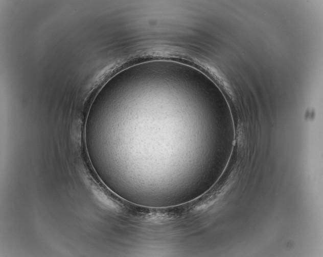 X0000090480445200707201419