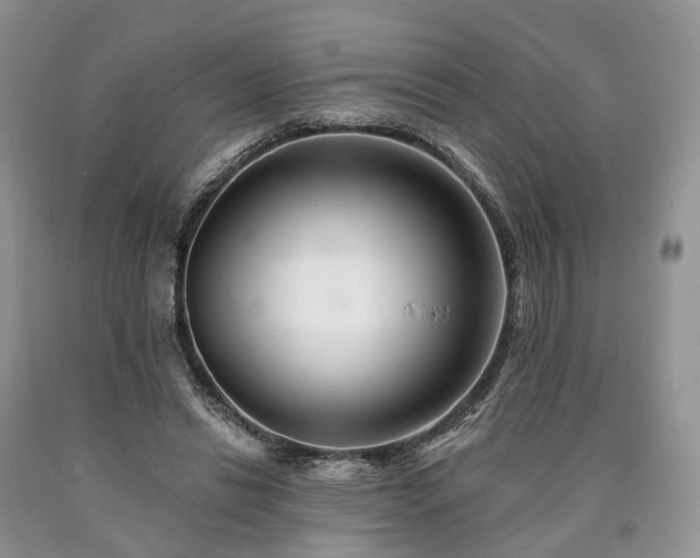 X0000090480446200707201419