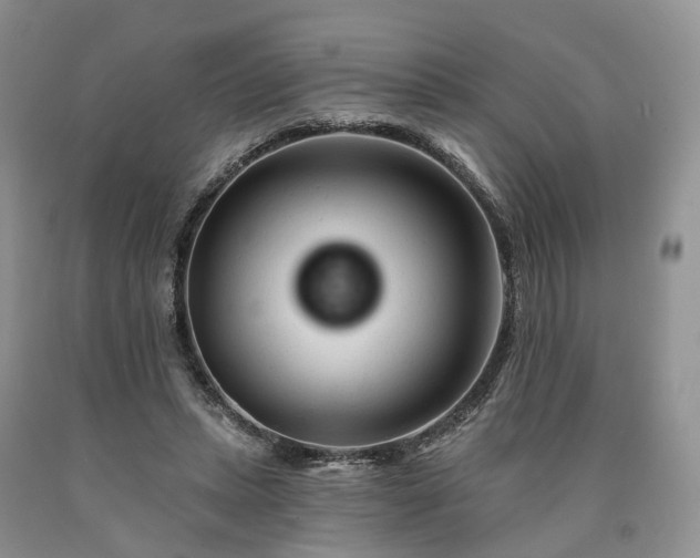 X0000090480447200707201419