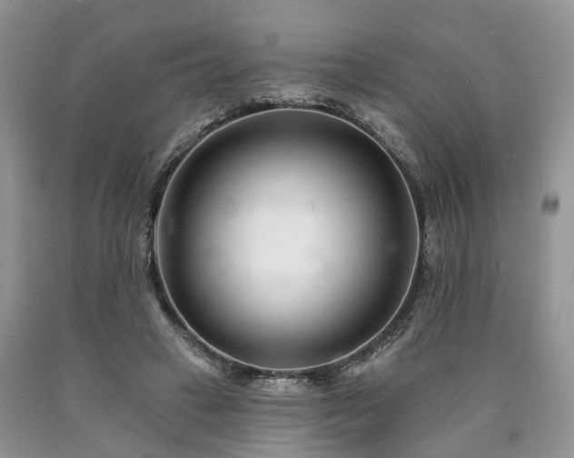 X0000090480449200707201419