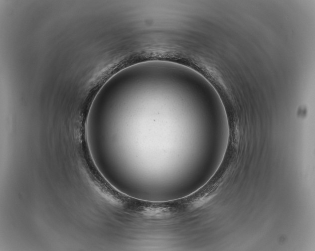 X0000090480450200707201419