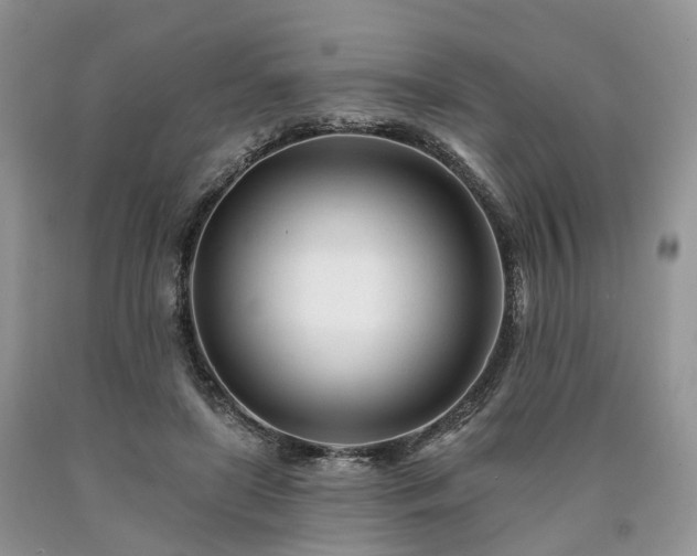 X0000090480451200707201419