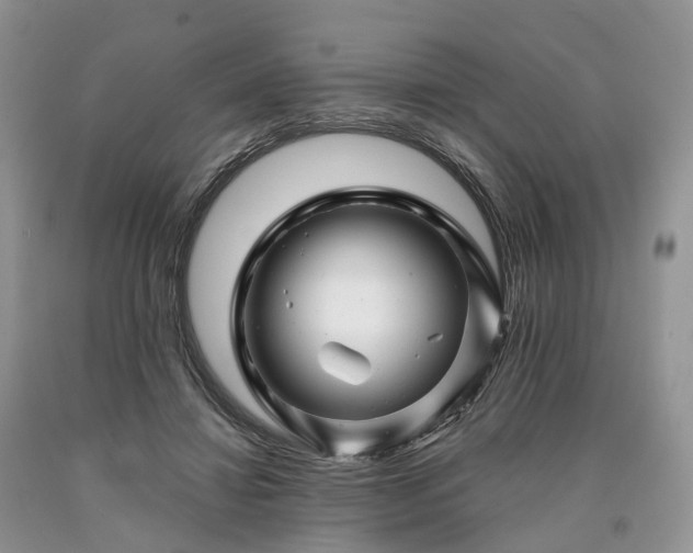 X0000090480452200707201419