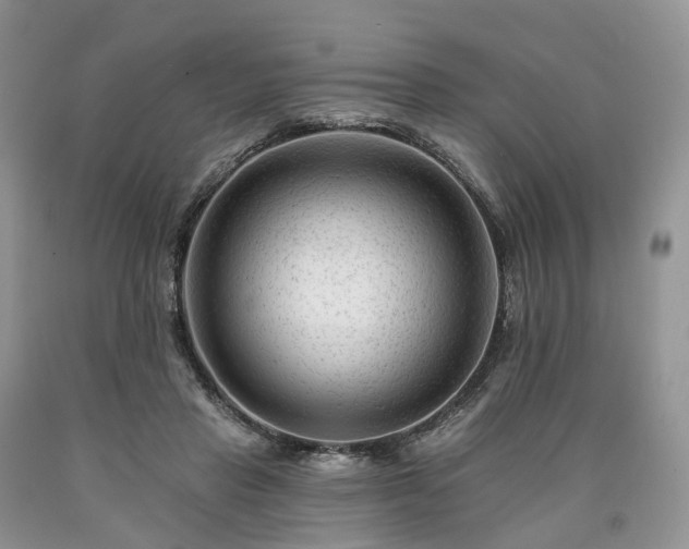 X0000090480453200707201419