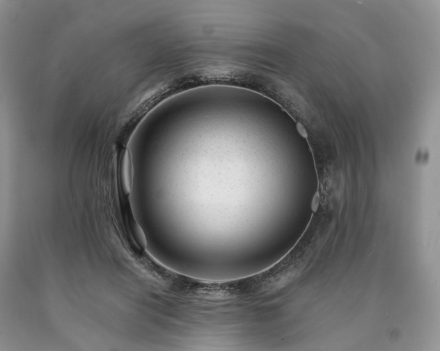 X0000090480454200707201419