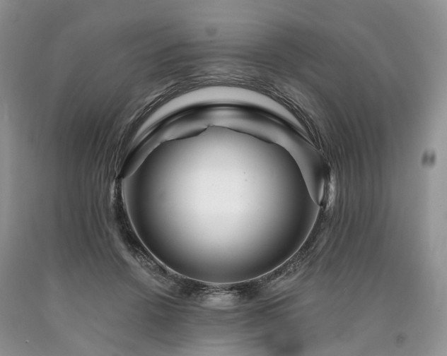 X0000090480456200707201419