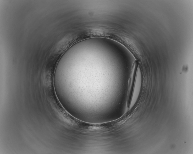 X0000090480457200707201419