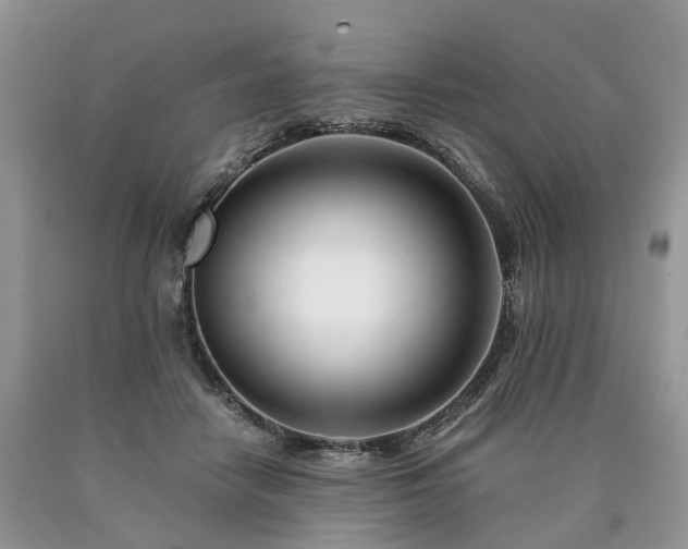 X0000090480458200707201419