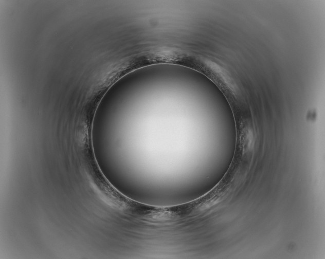 X0000090480459200707201419