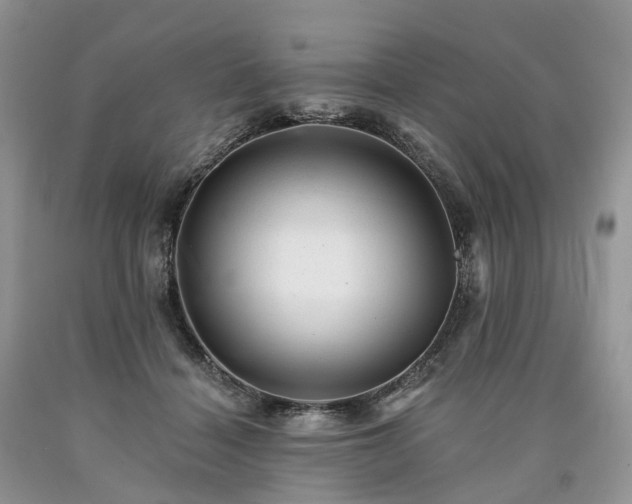X0000090480460200707201419