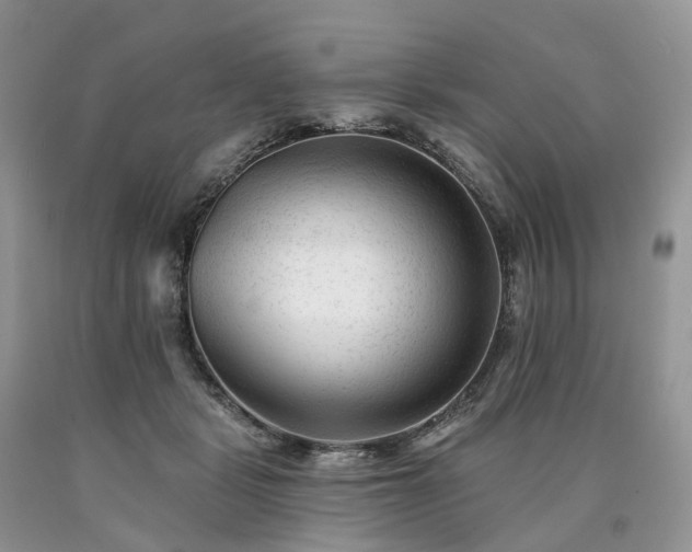 X0000090480461200707201419