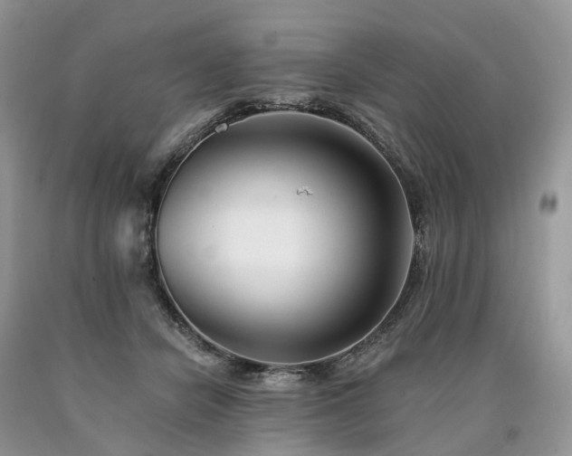 X0000090480462200707201419