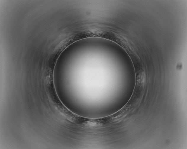 X0000090480464200707201419